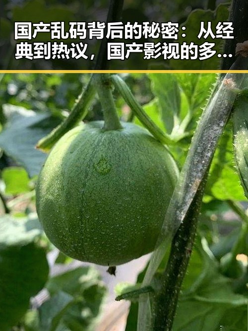 国产乱码背后的秘密：从经典到热议，国产影视的多元魅力逐渐展现