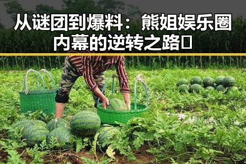 从谜团到爆料：熊姐娱乐圈内幕的逆转之路🔥